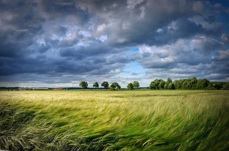 Das Vorschaufoto zum Workshop